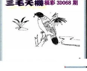 26068期: 三毛3D精品图谜