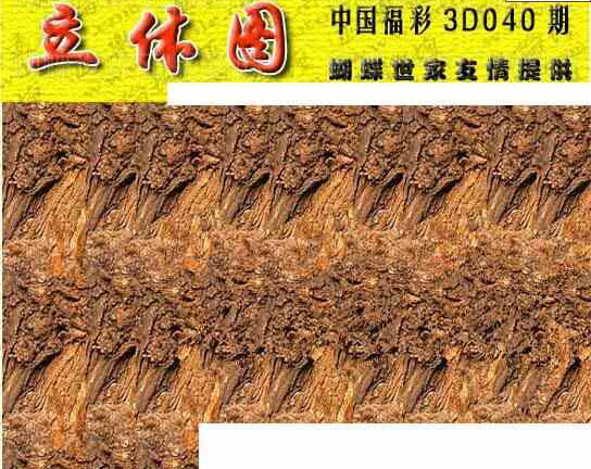 25040��: 3D�������Һ�����ͼ