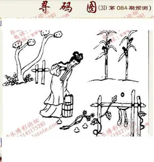 九宝图26084期福彩3D寻码图