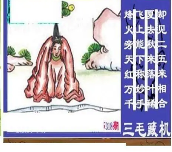 25318期: 三毛3D精品图谜