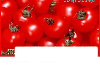 25311期: 白老3D杀码图版