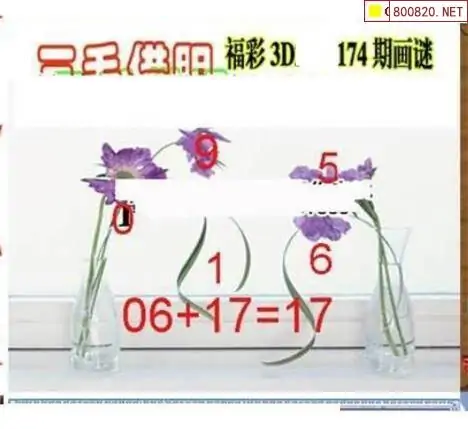 25174期: 三毛3D精品图谜