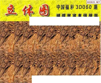 26060期: 3D蝴蝶世家蝴蝶彩图