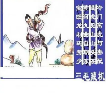 26104期: 三毛3D精品图谜