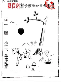 25314期: 老村长福彩3D天天图谜