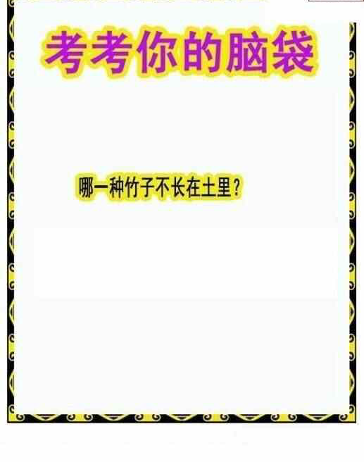 24134期: 白老3D杀码图版