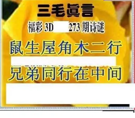 25273期: 三毛3D精品图谜