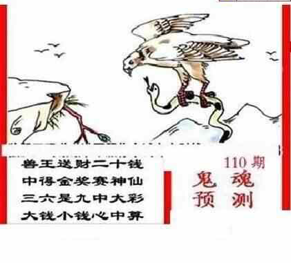 24110期: 三毛3D精品图谜