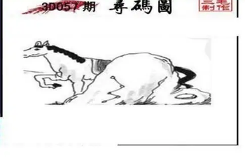 26057期: 三毛3D精品图谜