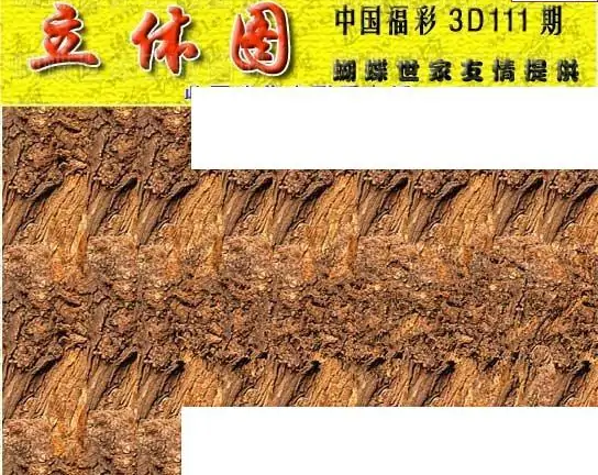 25111期: 3D蝴蝶世家蝴蝶彩图