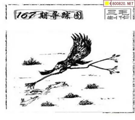 25167期: 三毛3D精品图谜