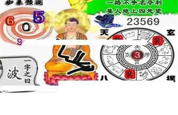 26094期: 白老3D杀码图版