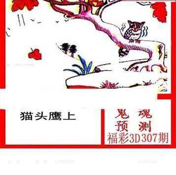 24307期: 白老3D杀码图版