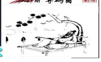 26081期: 三毛3D精品图谜