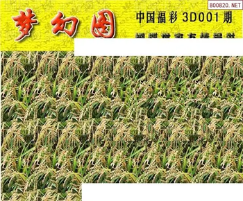 26001期: 3D蝴蝶世家蝴蝶彩图
