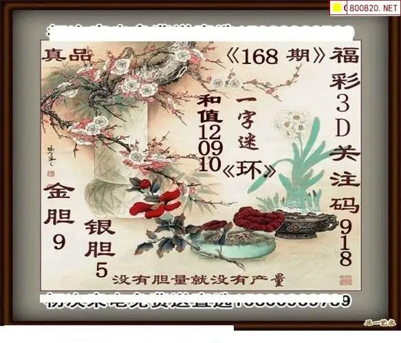 25168期: 白老3D杀码图版