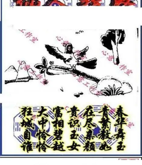 26086期: 三毛3D精品图谜