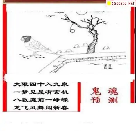 25168期: 三毛3D精品图谜