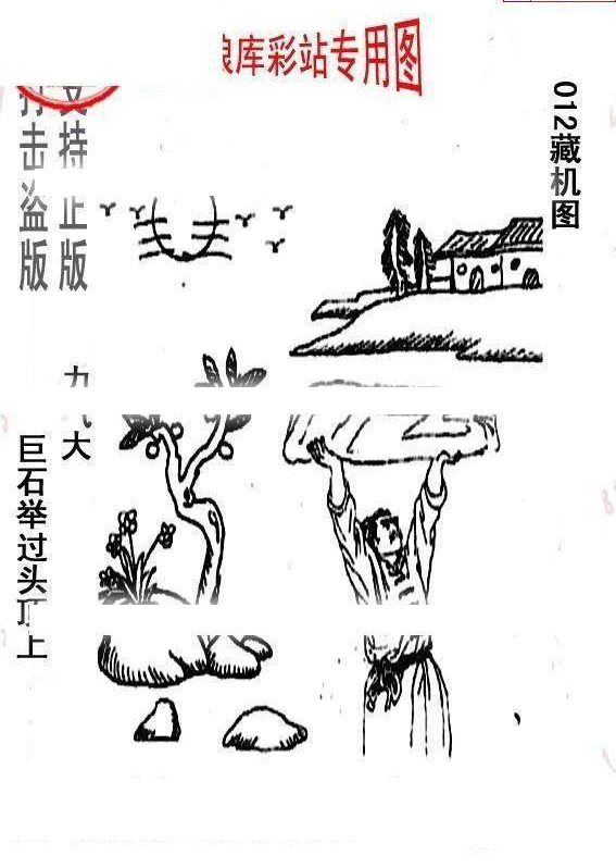 25012期: 老村长福彩3D天天图谜