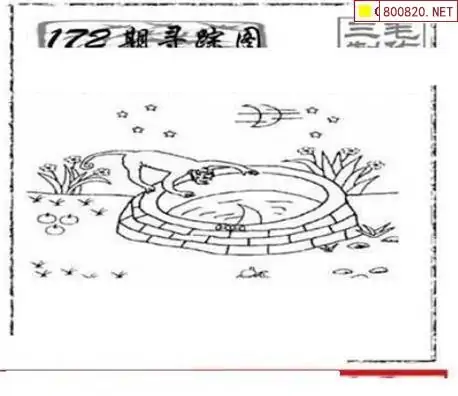 25172期: 三毛3D精品图谜