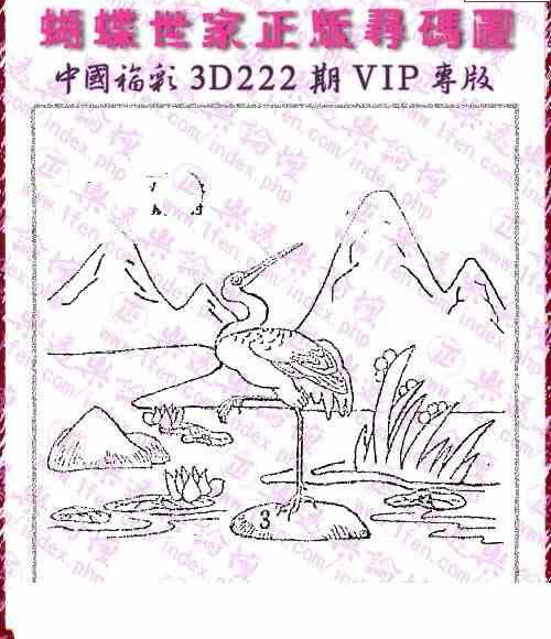 24222期: 3D蝴蝶世家蝴蝶彩图