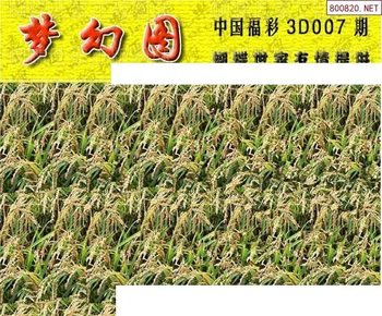 26007期: 3D蝴蝶世家蝴蝶彩图