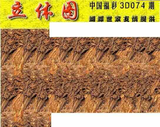 24074期: 3D蝴蝶世家蝴蝶彩图