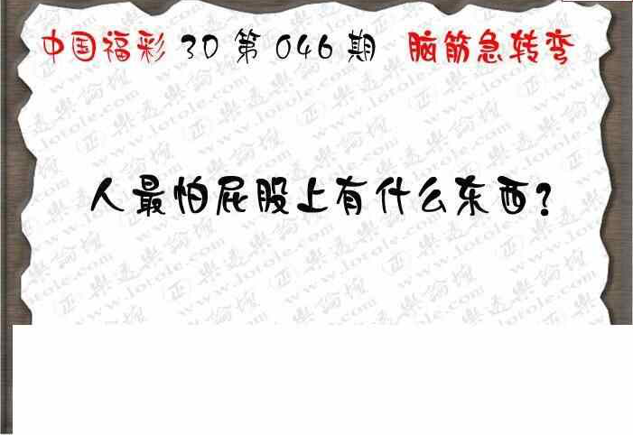 25046期: 3D蝴蝶世家蝴蝶彩图