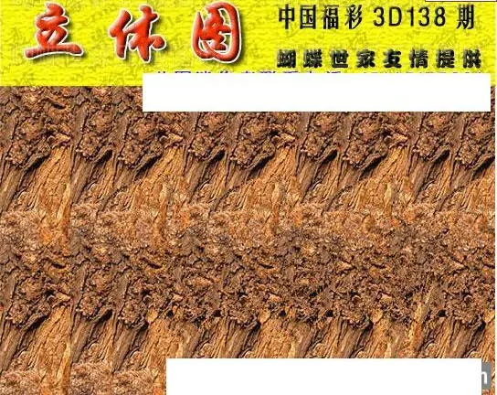 25138期: 3D蝴蝶世家蝴蝶彩图