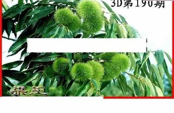 24190期: 白老3D杀码图版