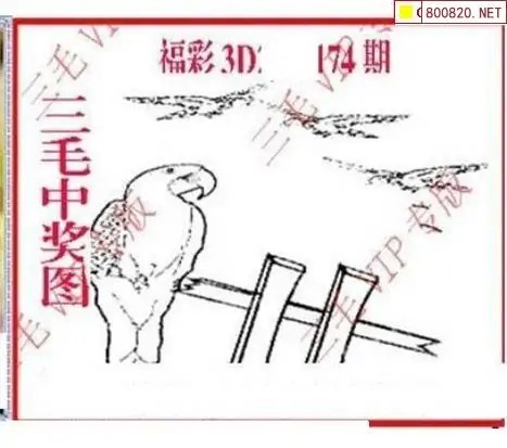 25174期: 三毛3D精品图谜