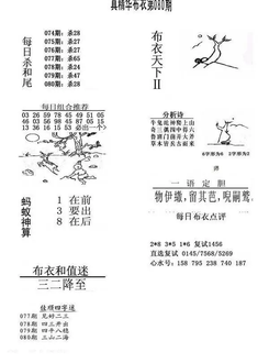 26080期: 福彩3D全套图版参考