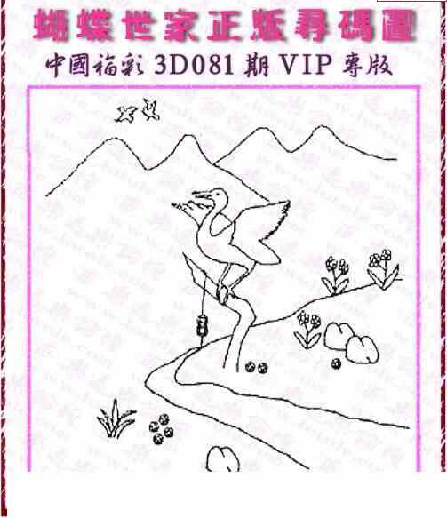 24081期: 3D蝴蝶世家蝴蝶彩图