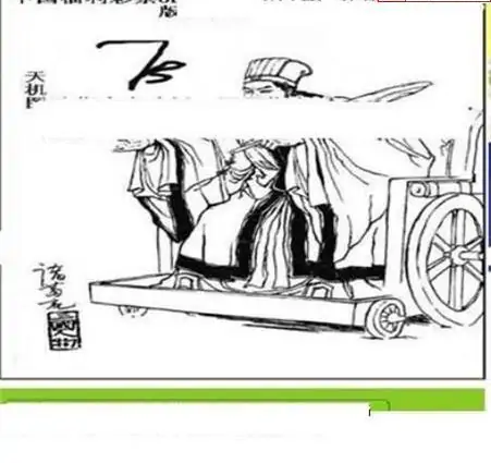 25211期: 三毛3D精品图谜