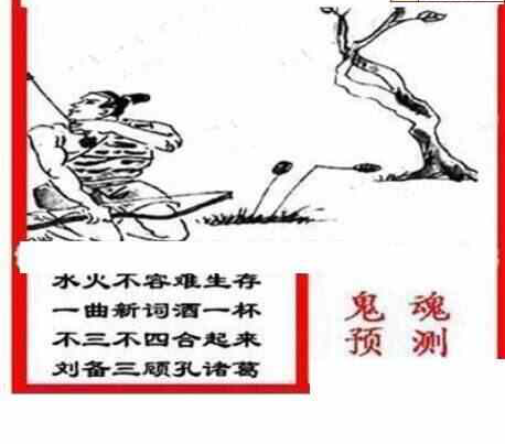 24088期: 三毛3D精品图谜