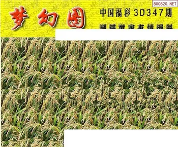 25347期: 3D蝴蝶世家蝴蝶彩图