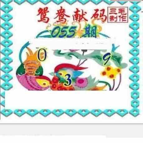 25055期: 三毛3D精品图谜