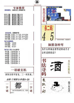 26097期: 福彩3D全套图版参考