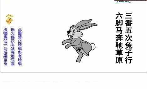 25032期: 白老3D杀码图版