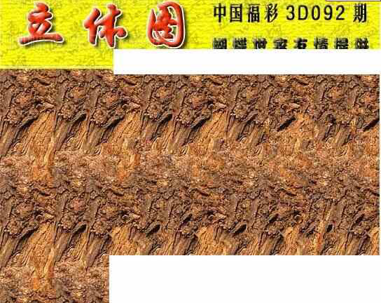 24092期: 3D蝴蝶世家蝴蝶彩图