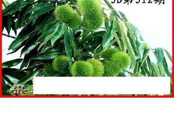 25312期: 白老3D杀码图版