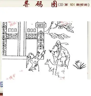 九宝图26101期福彩3D寻码图