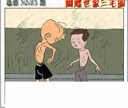 24185期: 3D蝴蝶世家蝴蝶彩图