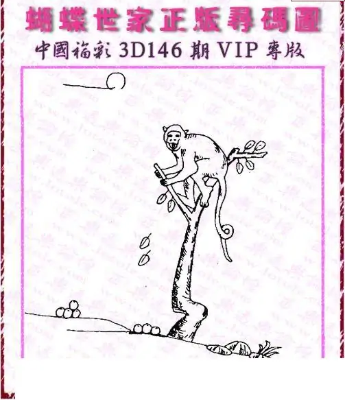 25146期: 3D蝴蝶世家蝴蝶彩图