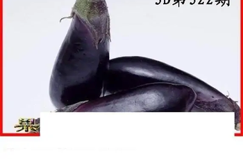 25322期: 白老3D杀码图版