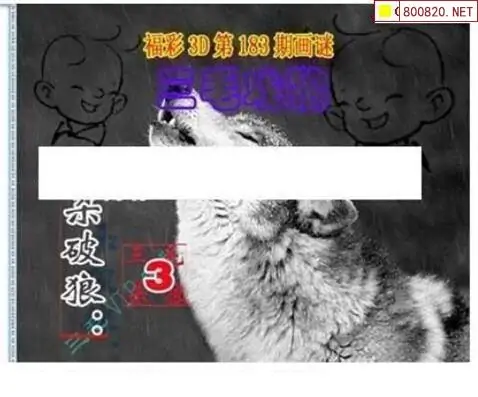 25183期: 三毛3D精品图谜