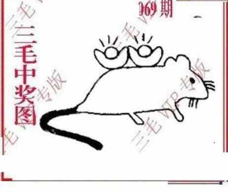 24069期: 三毛3D精品图谜