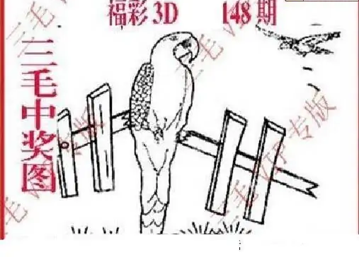 25148期: 三毛3D精品图谜