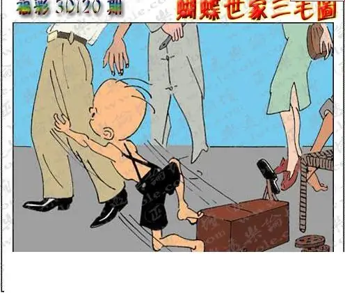 25120期: 3D蝴蝶世家蝴蝶彩图