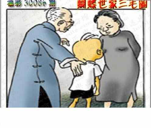 24086期: 3D蝴蝶世家蝴蝶彩图